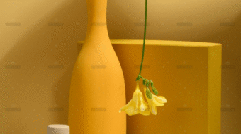 demo-attachment-2944-pexels-daria-liudnaya-7354715